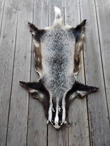 European badger pelt skin hide taxidermy home decor floor fireplace orna... - $111.85