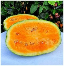 25+ Tendersweet Orange Watermelon Seeds, Gmo Free From Us - $8.77