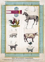 Item image 1 image 1