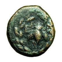 Ancient Greek Coin Ephesos Ionia AE11mm Bee Wreath / Stag Very Rare 04359 - $35.99