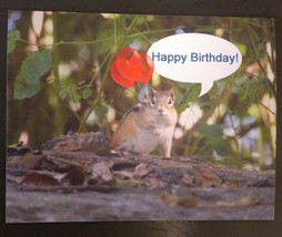 (set of 5) Cute funny chipmunk with balloons birthday cards and envelopes - £11.80 GBP