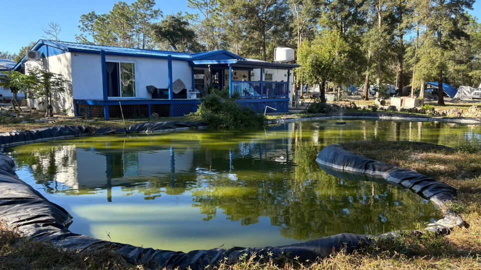 Pond liner 30 mill 20x25 Durable,Fish-plants pond,available,HDRPE,Free Shipping! Item image 6