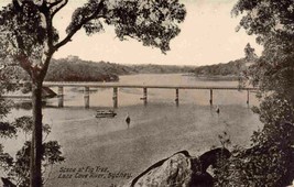 Scene at Fig Tree Lane Cove River Bridge Sydney Australia 1905c postcard - £5.08 GBP