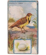 Cowan Co Toronto Bird Card Meadow Lark Canadian Bird Series Coupon Removed - $4.94