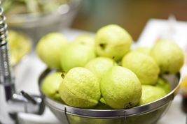 FREE SHIPPING 20+ seeds Lemon Guava {Psidium guajava}  - £10.53 GBP