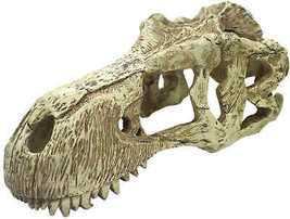 Komodo Realistic T Rex Skull Resin for Terrarium Decor - £30.22 GBP
