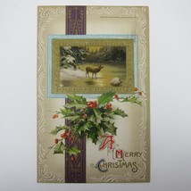 Christmas Postcard Deer Buck Snowy River Holly Gold Embossed Winsch Antique 1912 - £11.78 GBP