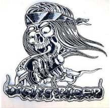 1 NEW JUMBO NIGHT RIDER SKULL MOTORCYCLE JACKET BACK PATCH embroidered J... - $18.99