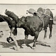 1921 Sharkey Bull Photo Print Round Up Bucking Rodeo Cowboy California DWN8C - £22.41 GBP