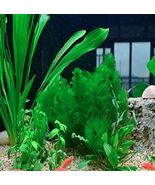 Limnophila Sessiliflora Moss Aquatic Plant Family Easy Plant Aquarium - $6.51 CAD