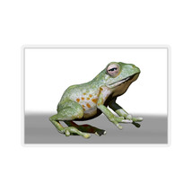 CG Frog Character Kiss-Cut Stickers - $6.00