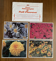 Four Lithographs Of Fall Flowers Art Print Art Work - £11.76 GBP