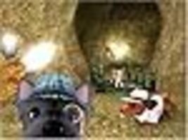 Item image 11