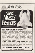 1951 Print Ad Golden Rule Hatchery Chicks Chickens Bucyrus,Ohio - £6.60 GBP