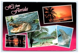 Hi Florida Greetings Alligator Dolphin Sunset Beach Postcard - $5.95