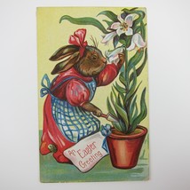 Easter Postcard Anthropomorphic Rabbit in Apron Lily Flower in Pot Antique 1910 - £13.53 GBP