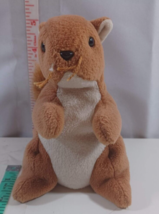 Ty Beanie Babies. NUTS the brown SQUIRREL and ty black and brown cat - $5.94