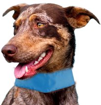 Pet Life ® Summer-Cooling&#39; Insert Able and Adjustable Cooling Ice Pack Dog Neck  - £11.79 GBP