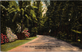 Postcard - Ocean Boulevard between Delray Beach and Lake Worth - Florida (A9) - £5.80 GBP