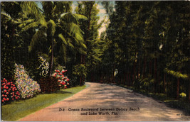 Postcard - Ocean Boulevard between Delray Beach and Lake Worth - Florida (A9) - £5.54 GBP