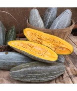Guatemalan Blue Winter Squash Seeds, Blue Banana Squash, NON-GMO, FREE SHIPPING - $1.97 - $52.46