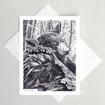 Nap Time Note Cards, Bear Cub - $4.25+