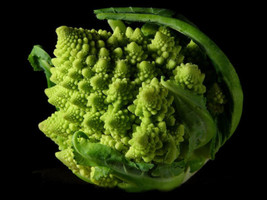 Berynita Store Broccoli Romanesco Unusual Conical 100 Seeds Us  - $7.09