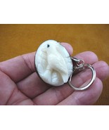 (TNE-BIR-CO-247A) Cockatoo tropical bird TAGUA NUT keychain carving I lo... - $306.91 MXN