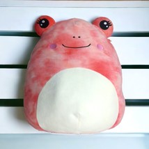 Squishmallow Frog Fanina the Frog Pink 16” Red Pink Tie Dye Soft Plush EUC - £10.99 GBP