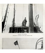 Whaling Dead Whale At Sea 1926 Nautical Antique Print Whale Hunting DWW4B - $379.94 MXN