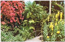 Florida Postcard Sunken Garden Rustic Bridge Bougainvillea Snapdragons - £1.69 GBP