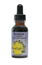 Boneset Herbs of Light Herbal Liquid Supplement 1 oz Liquid - £9.41 GBP