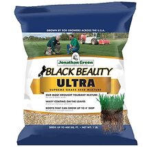 Jonathan Green (10323) Black Beauty Ultra Grass Seed - Cool Season Lawn ... - $24.70