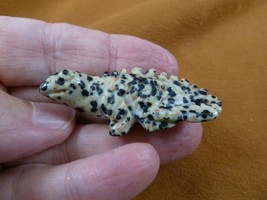 Y-LIZ-CH-557 spotted Jasper CHAMELEON LIZARD gemstone gem carving lizards statue - £11.06 GBP