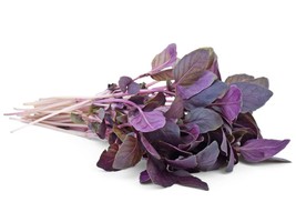 Purple Basil Seeds - Organic &amp; Non Gmo Herb Seeds - Heirloom Seeds - USA Grown S - £1.77 GBP