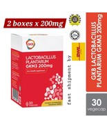 GKB Lactobacillus Plantarum GKM3  2 boxes x 200mg 30&#39;s | Lose Belly Fat ... - $158.30