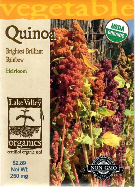 Quinoa Brightest Brilliant Heirloom Vegetable Seeds Non Gmo Lake Valley 12/24 Fr - £8.25 GBP
