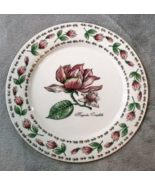 Tabletops Unlimited Botanical Gardens 10.5&quot; Dinner Plate Magnolia Campbellu - £9.83 GBP