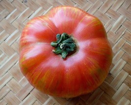 Vintage Wine Tomato - 5+ seeds - P 497 - £1.59 GBP