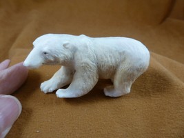 bear-w93 polar Grizzly bear of shed ANTLER figurine Bali detailed carvin... - $96.07