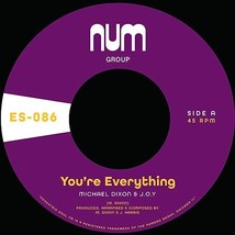 You&#39;re Everything B/w You&#39;re All I Need - Purple [VINYL]  - $12.00