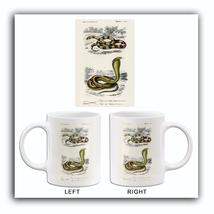 Coral Snake (Elaps Corallinus) & Egyptian Cobra (Naja Hoje) - 1849 - Mug - $23.99+
