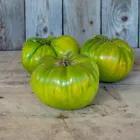 Aunt Ruby&#39;s German Green Tomato Seeds ~ Heirloomseedguy NON-GMO 30 Seeds - £5.60 GBP