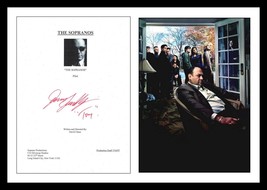 Ultra Rare - James Gandolfini - The Sopranos - Authentic Hand Signed Autograph - £196.64 GBP