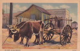 Ox Cart In Old Mexico Two Oxen Wagon Postcard A31 - £2.37 GBP