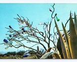 Bottle Tree and Cactus Tucson Arizona AZ UNP Chrome Postcard M15 - $2.92