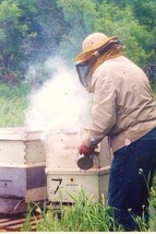 1/2 Pound Smoker Fuel, Honey Bee Keeping Bees Hive Smoke Natural Pine Needles - £10.35 GBP