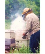 1/2  POUND SMOKER FUEL, HONEY BEE KEEPING BEES HIVE SMOKE NATURAL PINE NEEDLES - $12.99
