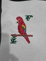 Completed Bird Parrot Finished Cross Stitch DIY Crafting - $7.99