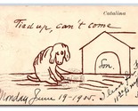 Comic Greetings In Doghouse Santa Catalina Island California CA UDB Post... - $9.85